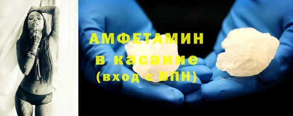 гидра Аркадак