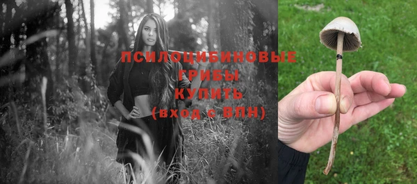 меф Армянск