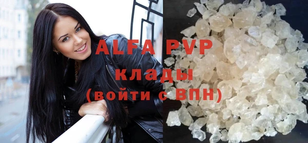гидра Аркадак