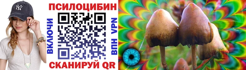 Псилоцибиновые грибы ЛСД  Сальск 